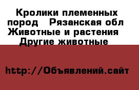 Кролики племенных пород - Рязанская обл. Животные и растения » Другие животные   